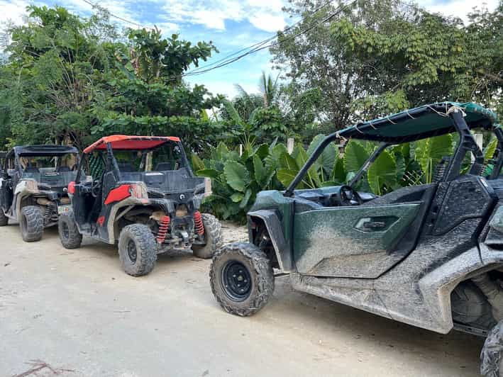 Mayan Buggy And Cenote Excursion - Good To Know