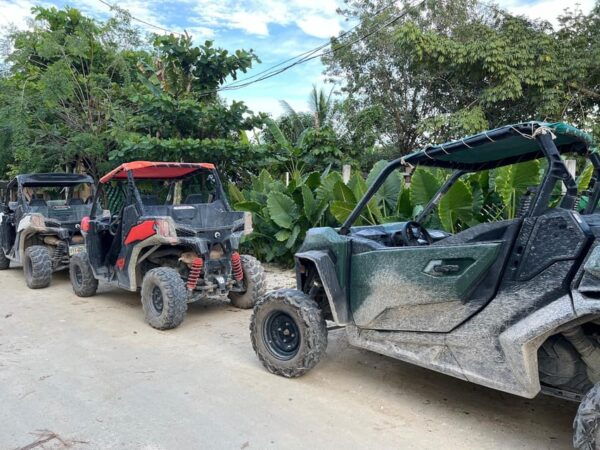 Mayan Buggy And Cenote Excursion - Important Considerations