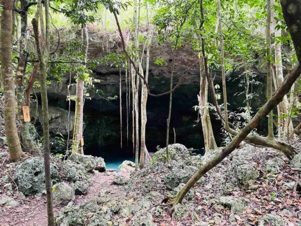 Mayan Buggy And Cenote Excursion - Frequently Asked Questions