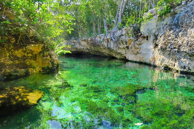 Mayan Cenotes Experience With Mayan Ruins or Local Community - Local Mayan Community Option