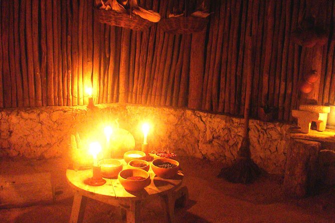 Mayan Ceremonial Night: Temazcal, Cenote Swim and Dinner From Playa Del Carmen - Feedback on the Number of Participants