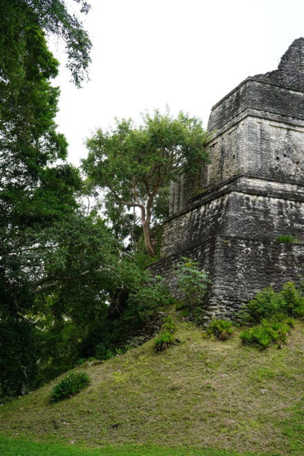 Mayan City of Dzibanche: Guided City Tour - Inclusions