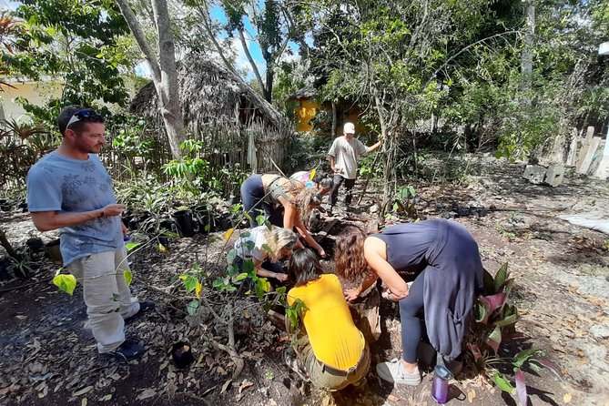 Mayan Community - Cultural Traditions