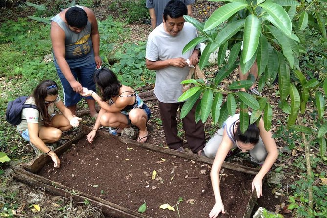 Mayan Community - The Sum Up