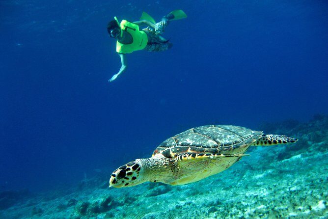 Mayan Flavors & Tequila Tasting + Beach Time - A Deep Dive into the Experience