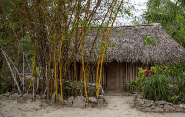 Mayan Jungle Expedition - Transportation and Guide