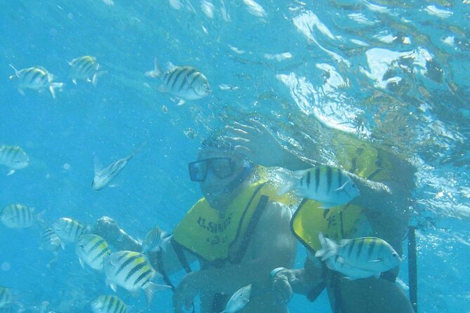 Mayan Ruins and Beach Time - Excursion Duration and Pricing Information