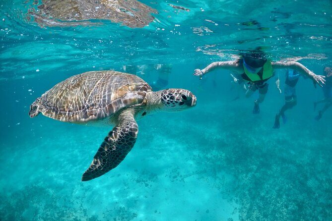 Mayan snorkeling (Akumal-Cenote-Caverna) - Good To Know