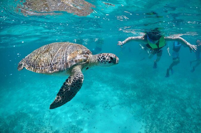 Mayan snorkeling (Akumal-Cenote-Caverna) - Walking Through Sayab Cavern