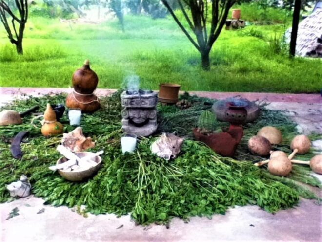 Mayan Spa Cancun: Natural Body Treatments and Wellness Tour - Included and Not Included