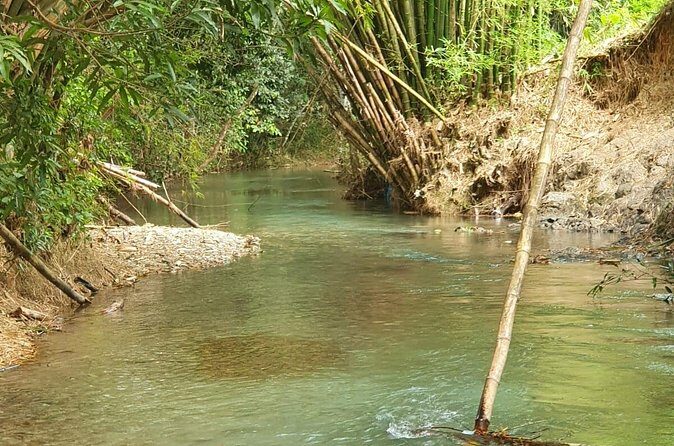 Mayfield Falls Nature Walk From Montego Bay - Who Should Consider This Tour?
