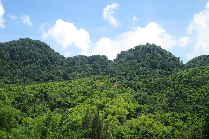 Mayfield Falls nature walk & Negril Hi-light Ricks Cafe - Exploring Mayfield Falls and the Mountain Springs