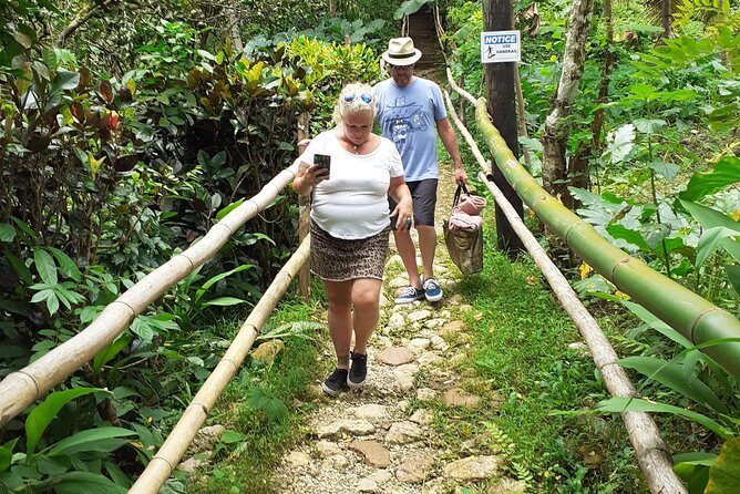 Mayfield Falls nature walk & Negril Hi-light Ricks Cafe - Authentic Experiences from Reviewers