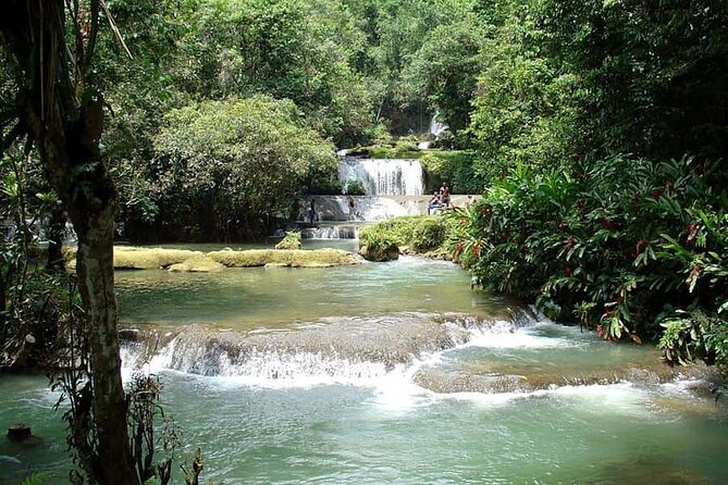 Mayfield Falls River Walk Private Tour - Tour Highlights