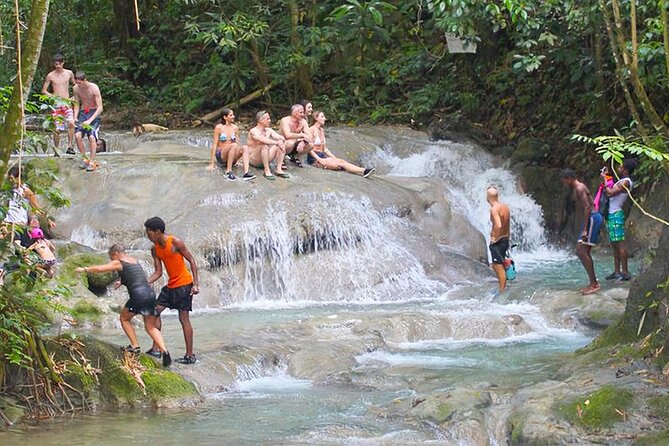 Mayfield Falls Tour With Lunch, Drink &Transportation (Original) - Pricing and Booking
