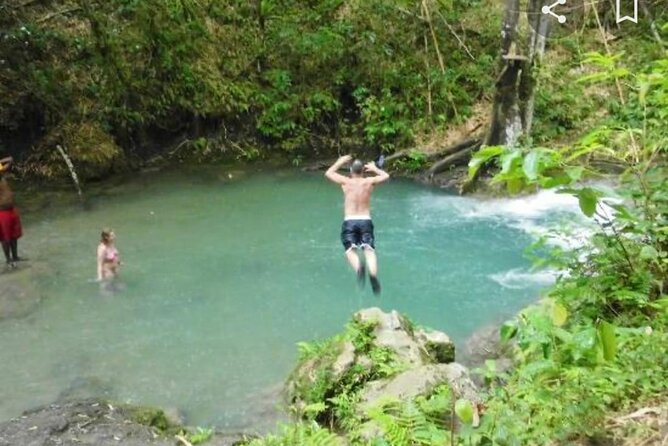 Mayfield Falls Tour With Lunch, Drink &Transportation (Original) - Traveler Tips and Reviews