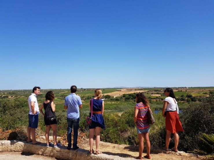 Mazara Del Vallo: Wine Tasting in the Nature Reserve - Good To Know