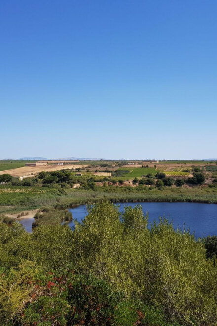Mazara Del Vallo: Wine Tasting in the Nature Reserve - Experience Highlights