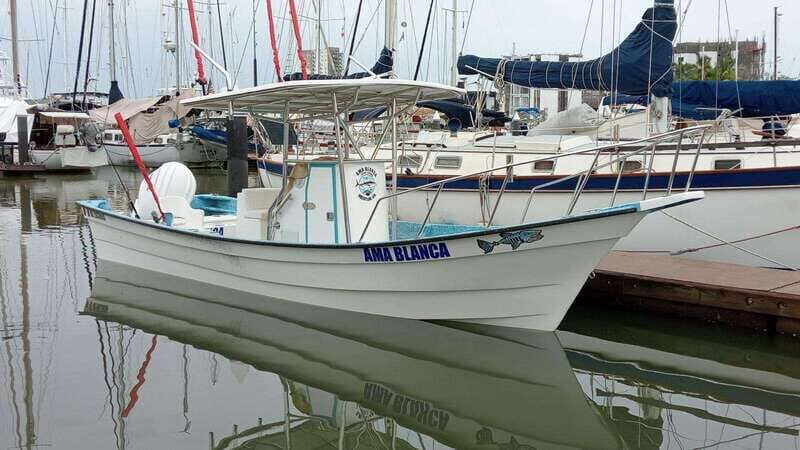 Mazatlan 3 Islands Snorkeling and Bird Watching Tour - Included & Not Included