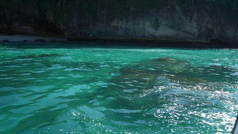 Mazatlan 3 Islands Snorkeling and Bird Watching Tour - The Value of This Tour