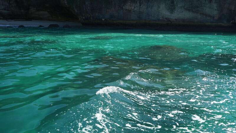 Mazatlan 3 Islands Snorkeling and Bird Watching Tour - Who Is This Tour Best For?