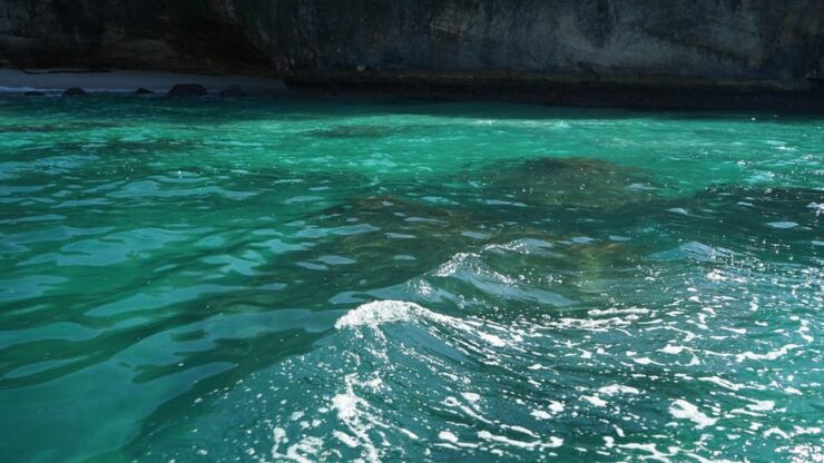 Mazatlan 3 Islands Snorkeling and Bird Watching Tour - Good To Know