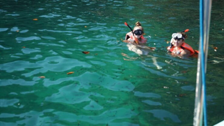 Mazatlan 3 Islands Snorkeling and Bird Watching Tour - Experience Highlights