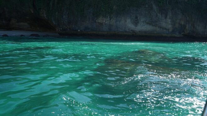 Mazatlan 3 Islands Snorkeling and Bird Watching Tour - Meeting Point and Recommendations