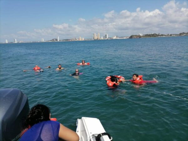 Mazatlan 3 Islands Snorkeling and Bird Watching Tour - Dolphin and Sea Turtle Watching