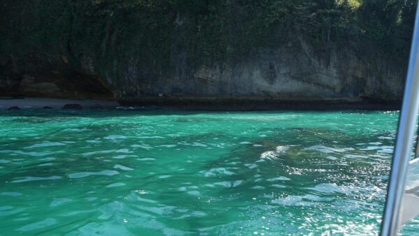 Mazatlan 3 Islands Snorkeling and Bird Watching Tour - Natural Caves and Bird Watching