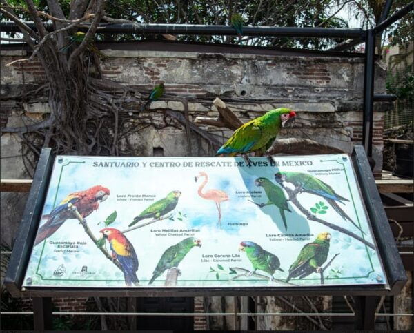 Mazatlán: City Tour & Observatory 1872 (A Historical Sense) - Planning Your Visit