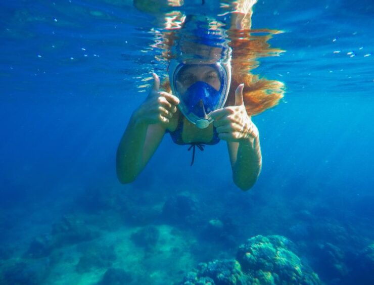 Mazatlan: Deer Island Eco Tour With Snorkeling and Hiking - Experience Highlights