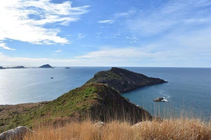 Mazatlan: Expedition to the Islands - Tour Highlights and Activities