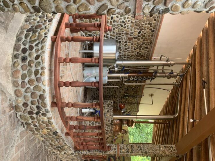 Mazatlan: Hot Springs With Lunch and Transportation - Experience Highlights