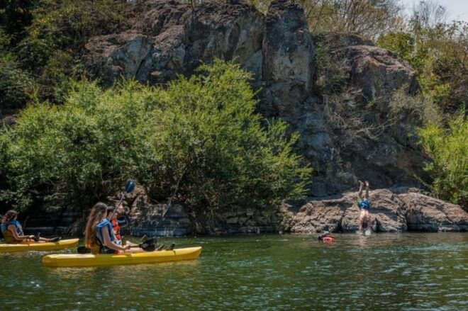 Mazatlan: Kayaking on the River - Experience Highlights