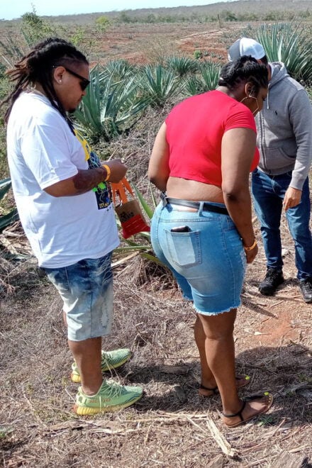 Mazatlan: Mezcal Factory Tour With Tasting and Lunch - Mezcal Tasting Details