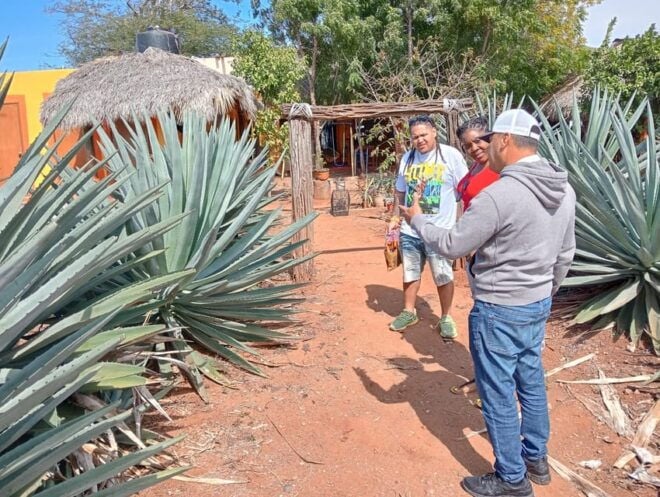Mazatlan: Mezcal Factory Tour With Tasting and Lunch - Customer Feedback