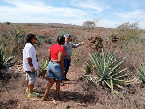 Mazatlan: Mezcal Factory Tour With Tasting and Lunch - Local Restaurant Lunch