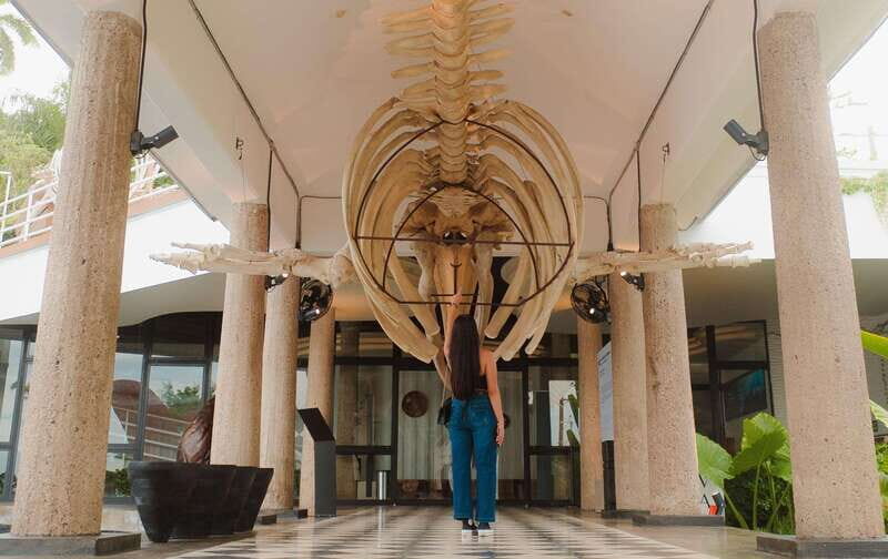 Mazatlán: MUNBA Interactive Ocean Museum Entry Ticket - What to Expect at MUNBA Ocean Museum