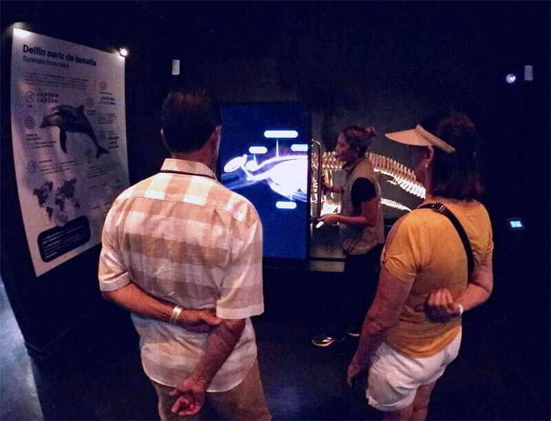 Mazatlán: MUNBA Interactive Ocean Museum Entry Ticket - Who Will Love This Experience?