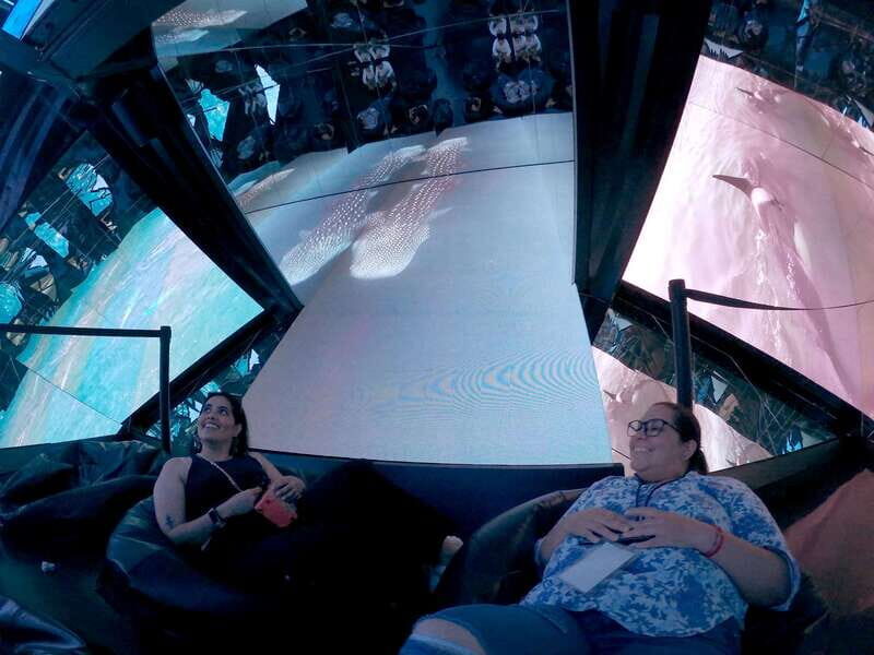 Mazatlán: MUNBA Interactive Ocean Museum Entry Ticket - Final Thoughts