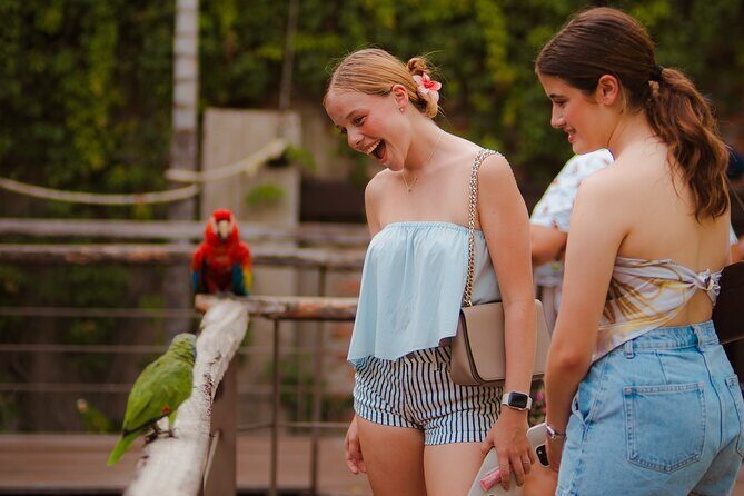 Mazatlan Observatorio 1873 Ticket and Pass - Practical Tips for Visiting