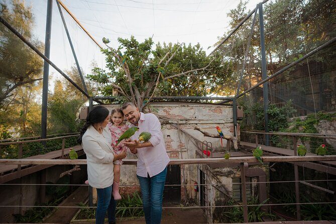 Mazatlan Observatorio 1873 Ticket and Pass - FAQ