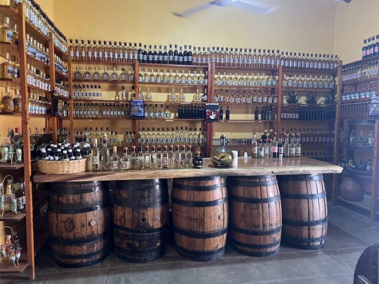 Mazatlan: River Kayaking With Lunch & Tequila Tasting - Activity Details