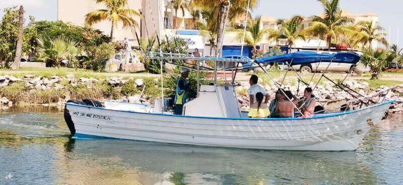 Mazatlan: Sea lions and snorkeling - Good To Know
