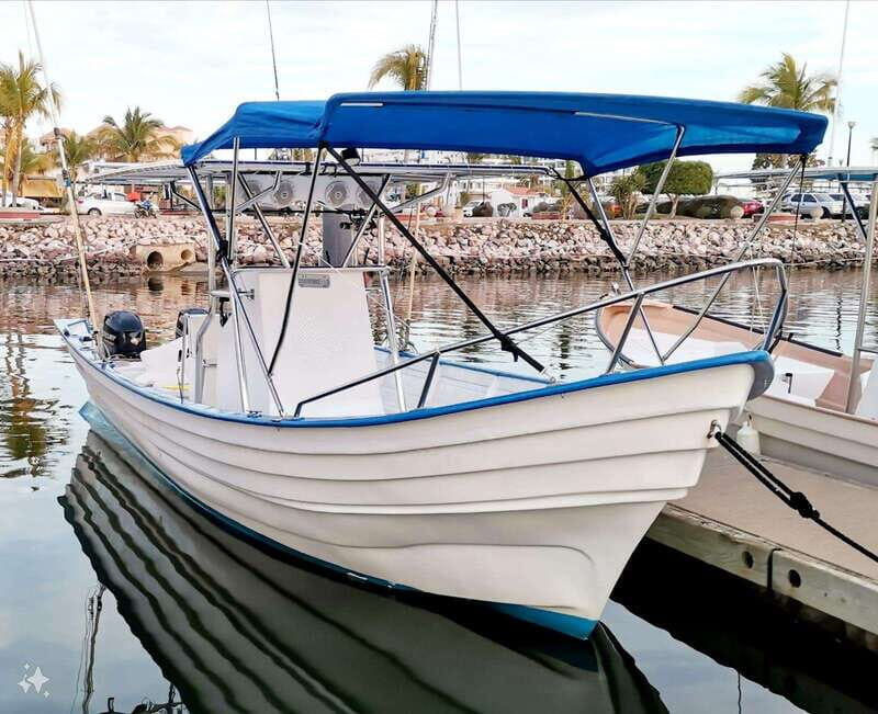 Mazatlan: Sea lions and snorkeling - Why This Tour Offers Good Value