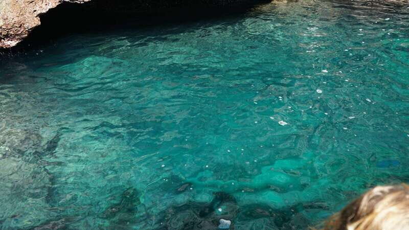 Mazatlan: Sea lions and snorkeling - The Sum Up