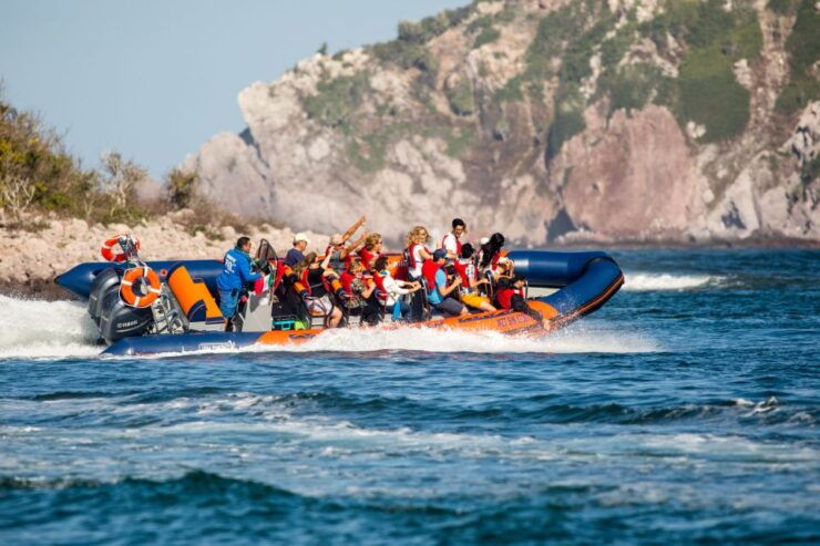Mazatlan: Ten Islands Boating Expedition - Tour Details