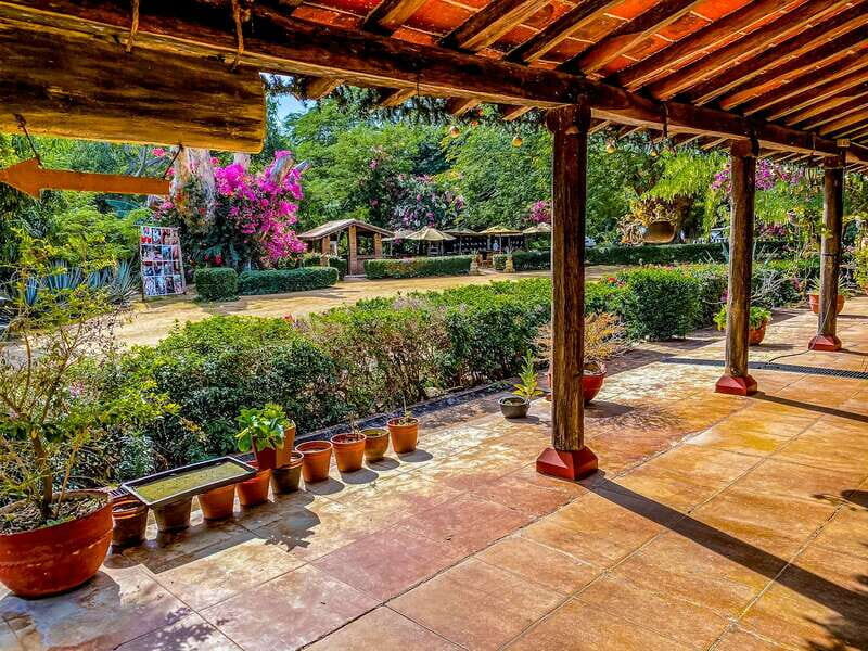 Mazatlán: Tequila Factory & Country Sightseeing - What You Can Expect from This Tour