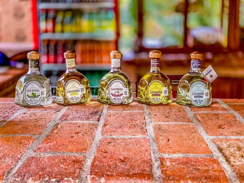 Mazatlán: Tequila Factory & Country Sightseeing - Who Will Love This Tour?
